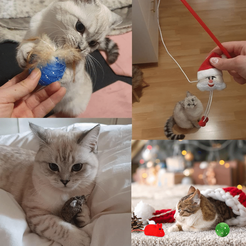 š Christmas Toy Advent Calendar for Cats & Dogs ā The Perfect Countdown to Christmas! š