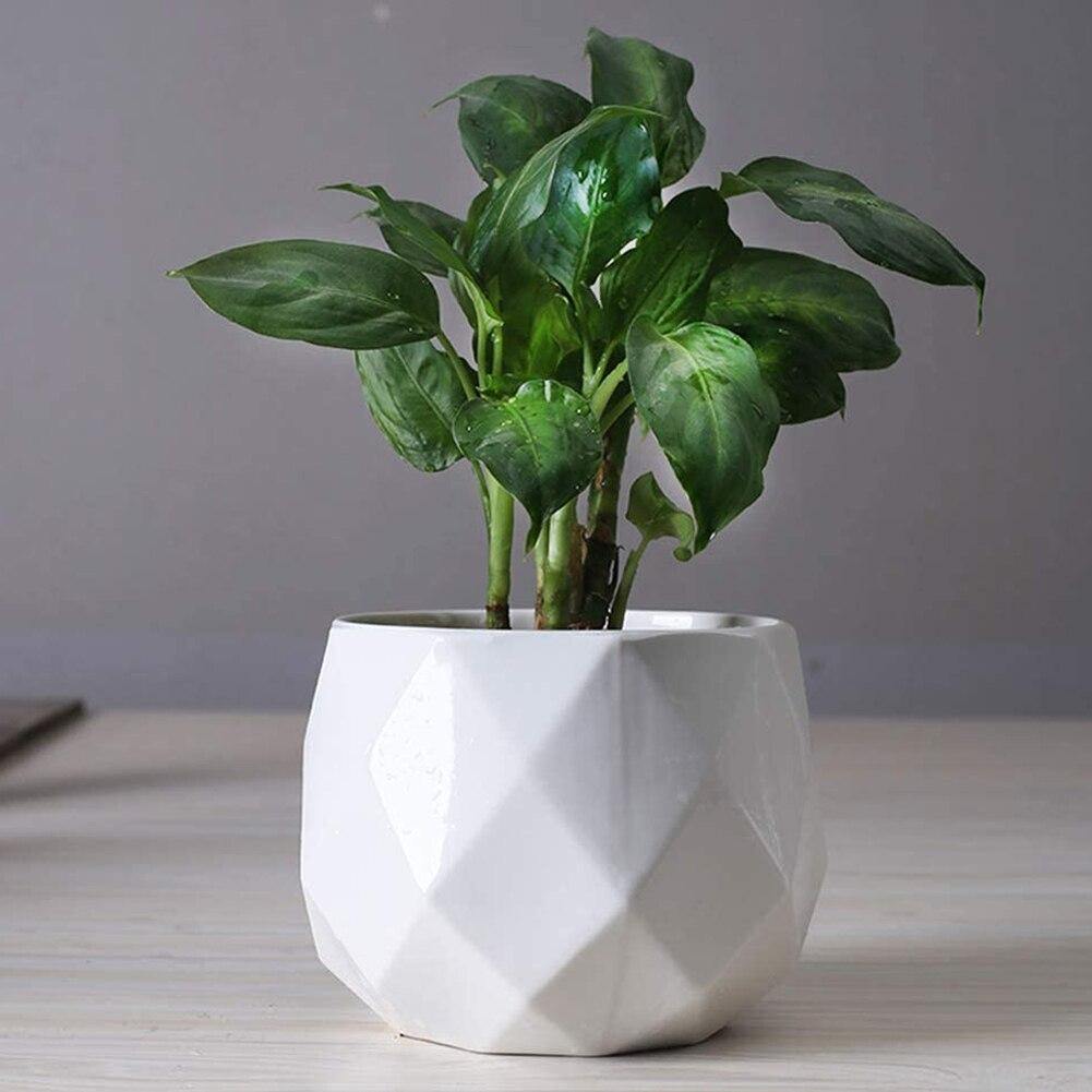 Rounded Diamond Ceramic Succulent Planters